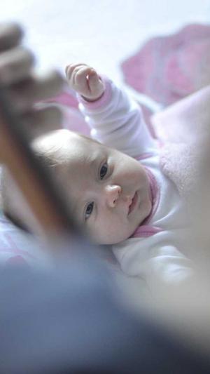 seo在线优化工具 sit截图1