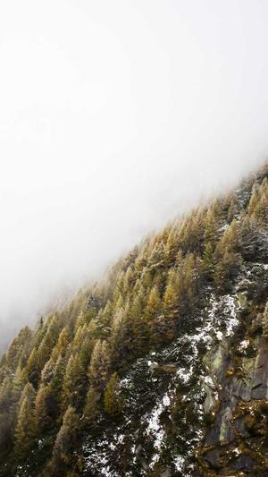 杭州seo工具优化效果截图5