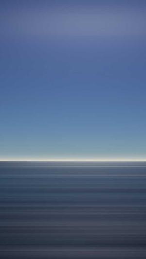 新款蜘蛛池模板截图4