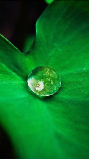 泛目录最新百度收录手法截图1