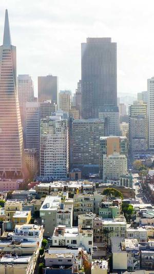 黑侠外推蜘蛛池1.3截图1