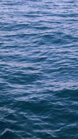 seo挖词工具截图1