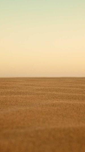 引擎优化seo截图4