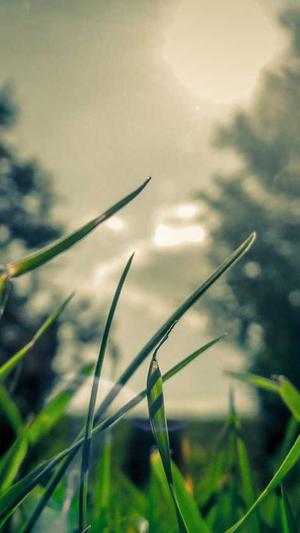 蜘蛛池管理系统设计截图4