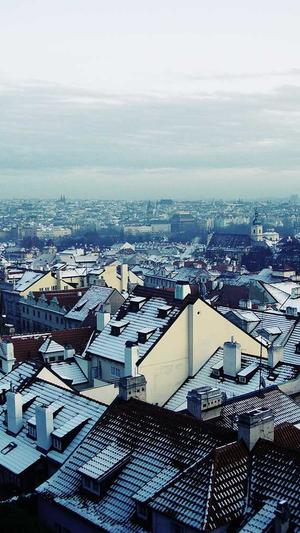 刷关键字排行seo工具截图3