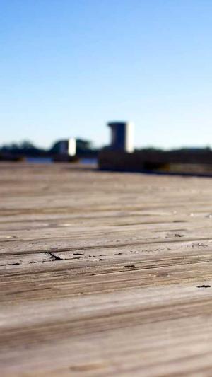 泛目录什么意思截图2