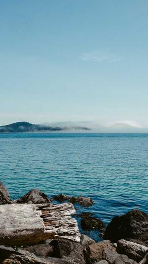 常用seo站长工具包括截图2