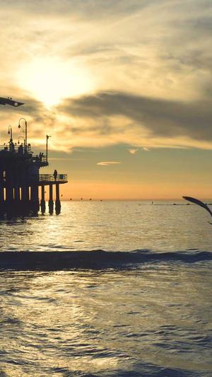 seo与网站建设截图3