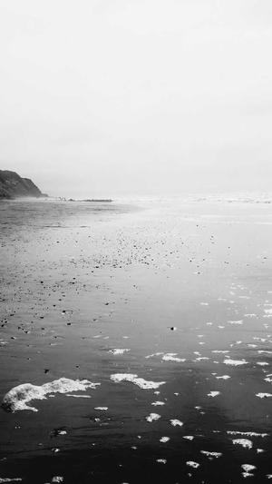 泛目录寄生虫教程截图3