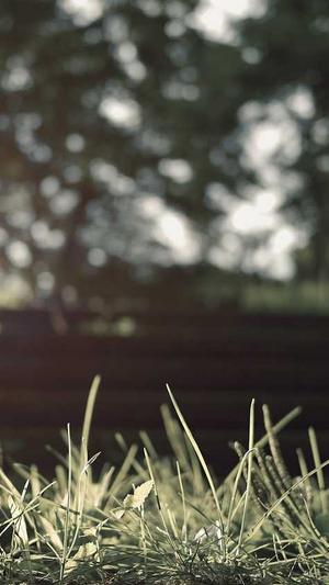 蜘蛛池关键词排名截图2