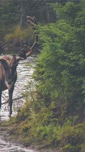 南通网站建设截图2