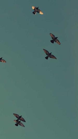 济南网站建设公司川芎网络截图4