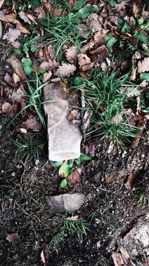 seo排名服务截图3