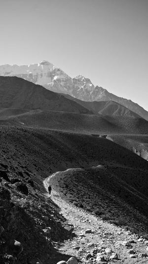 泛目录一战封神截图1