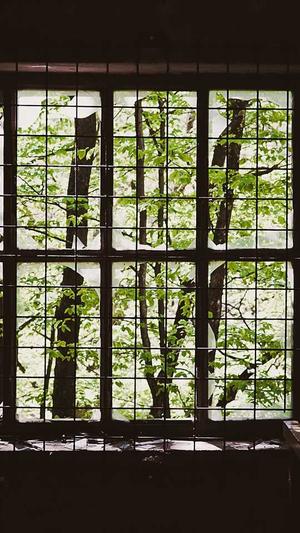 阿里蜘蛛池官方截图4