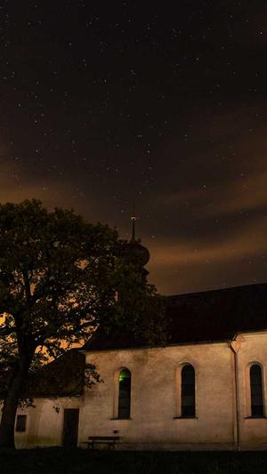 seo相关工具截图2