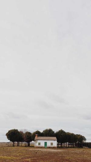 seo引擎优化工具截图1