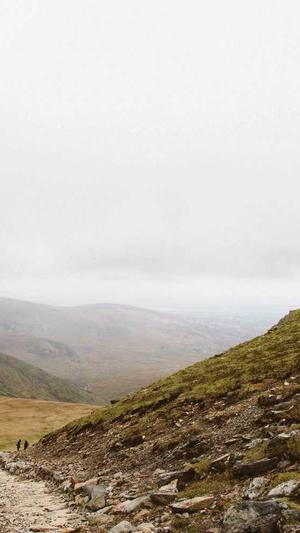 网站的建设截图1