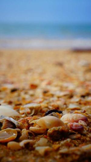 网站建设哪家服务好截图2