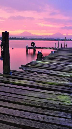 东莞seo站外优化工具截图3