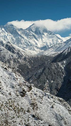 seo霸屏公司截图1