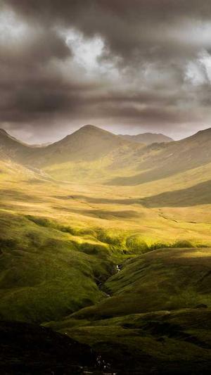 seo公司推荐蜘蛛池截图1