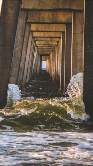 东莞seo网络优化工具截图3