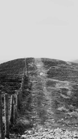 百度蜘蛛池黑帽截图3