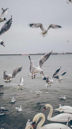 宜昌建设网站公司截图1