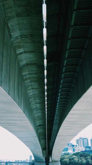 泛目录站群怎么搭建截图3