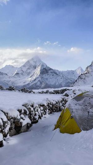 蜘蛛池下载源码截图1