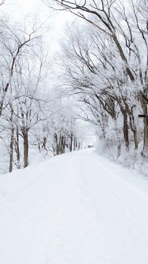 seo流量工具截图2