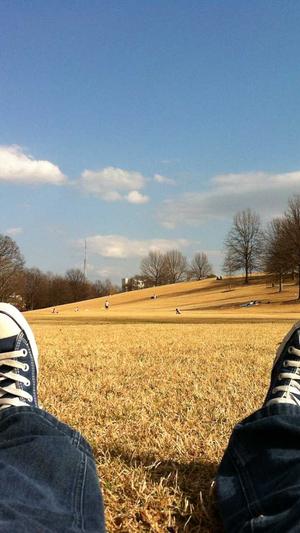 超级蜘蛛池域名截图2