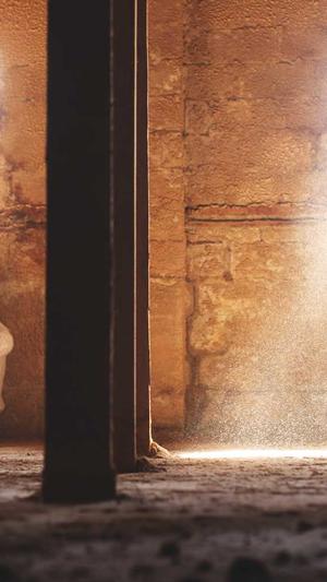 免费seo在线工具截图1