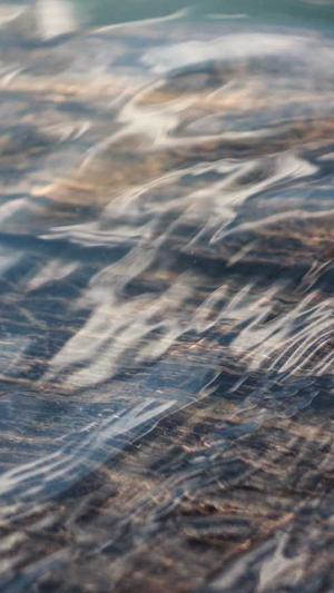 泛目录源码选择旺客专家好截图5