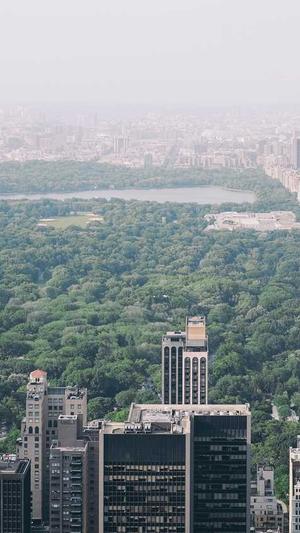 金华网站建设截图5