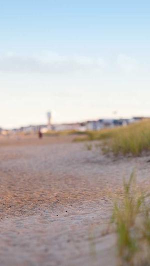 蜘蛛池教程案例截图4