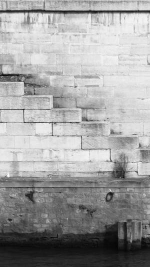 百度蜘蛛池黑帽截图1