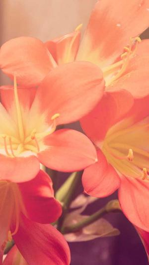 站长工具seo在线截图3