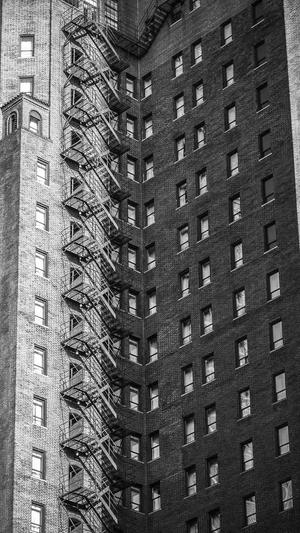 seo黑帽怎么排名泛目录截图2