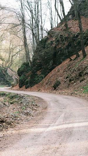 陈默外推软件蜘蛛池截图3