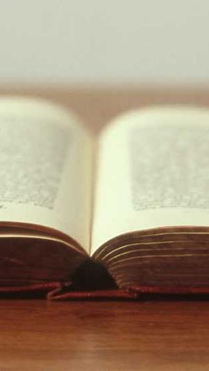 外包seo工具截图1