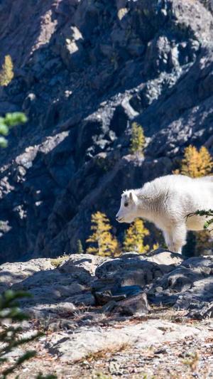 视频泛目录站群程序截图2