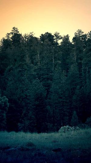 千站云蜘蛛池安装方法截图4