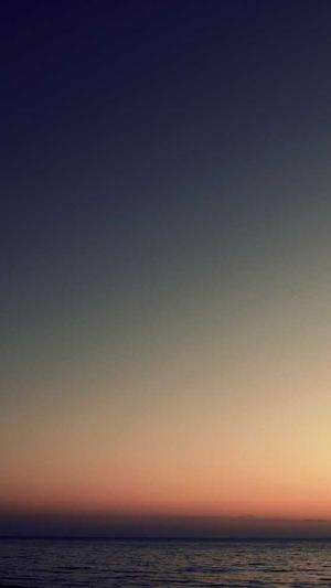 seo网络优化师截图2