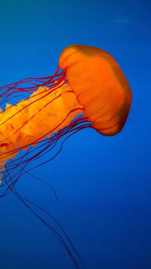 那个蜘蛛池好截图3