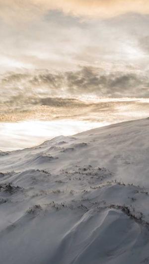 公司网站建设截图4