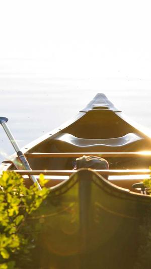 最便宜的蜘蛛池截图4