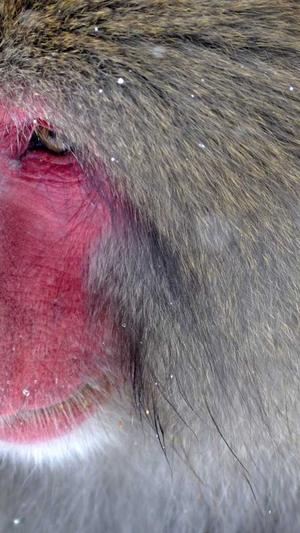 长沙网站的建设截图2