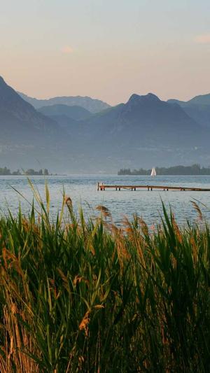 seo网络优化师截图3